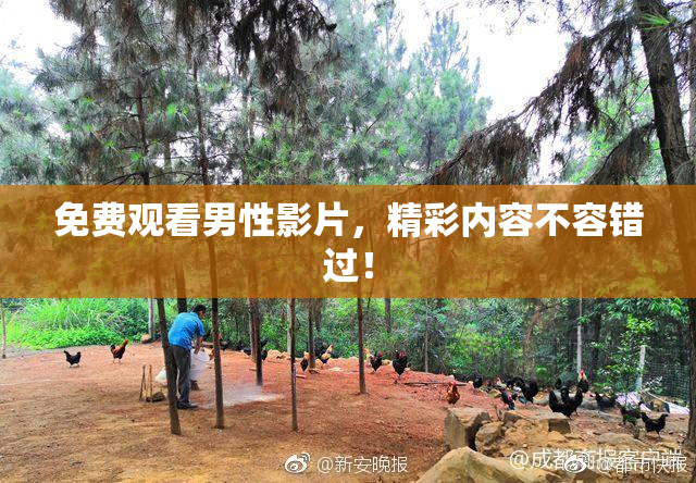 免费观看男性影片，精彩内容不容错过！