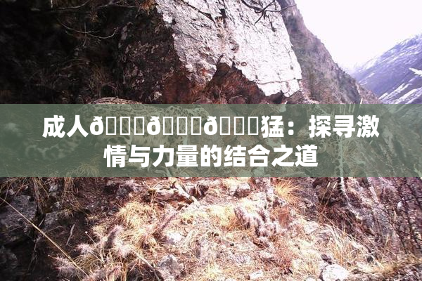 成人🍆🍑🔞猛：探寻激情与力量的结合之道