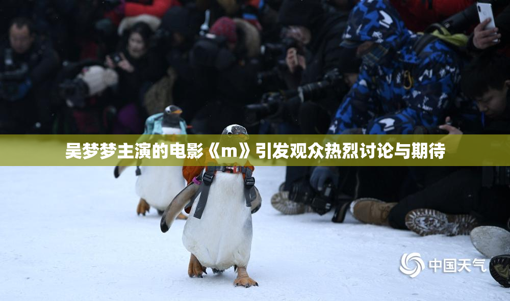 吴梦梦主演的电影《m》引发观众热烈讨论与期待