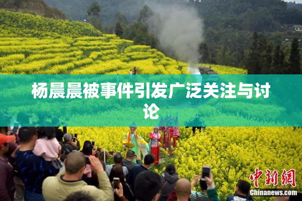 杨晨晨被事件引发广泛关注与讨论