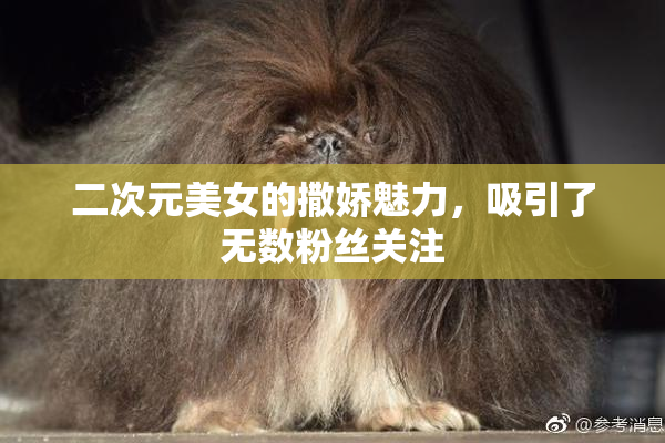 二次元美女的撒娇魅力，吸引了无数粉丝关注