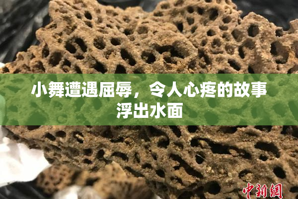 小舞遭遇屈辱，令人心疼的故事浮出水面