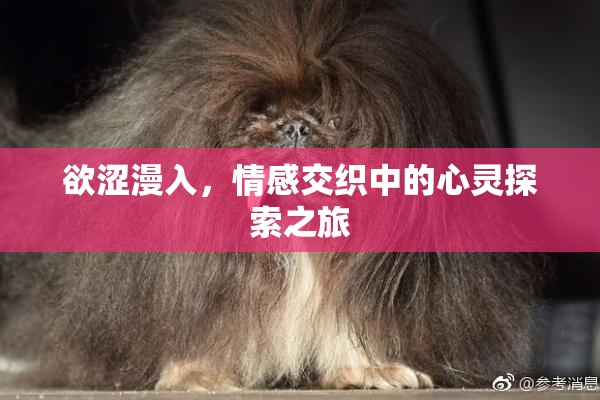 欲涩漫入，情感交织中的心灵探索之旅