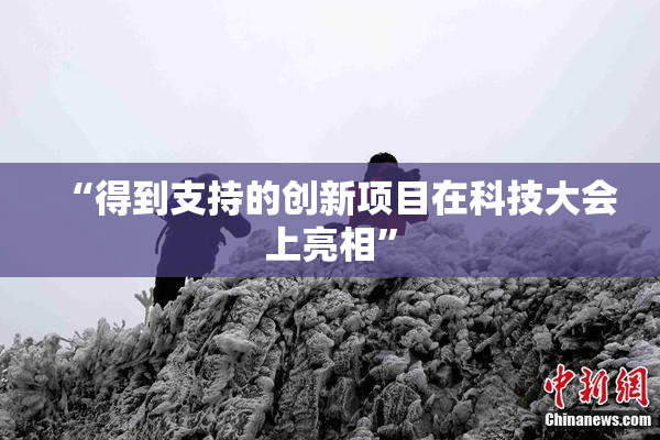 “得到支持的创新项目在科技大会上亮相”