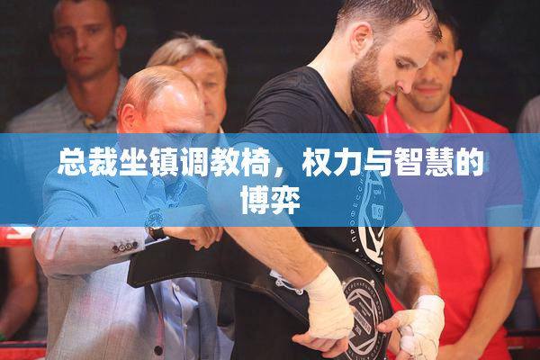 总裁坐镇调教椅，权力与智慧的博弈