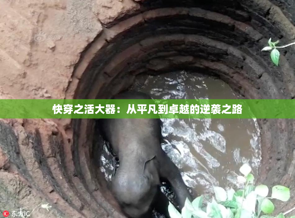 快穿之活大器：从平凡到卓越的逆袭之路