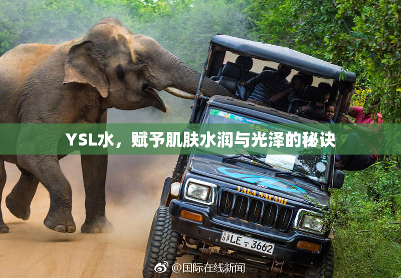 YSL水，赋予肌肤水润与光泽的秘诀
