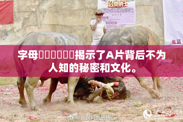 字母❌‌❌‌❌‌揭示了A片背后不为人知的秘密和文化。