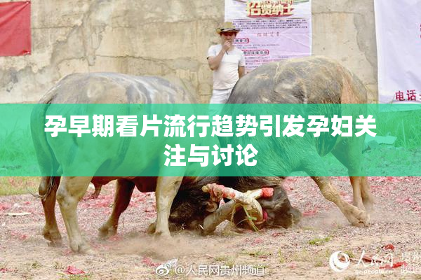 孕早期看片流行趋势引发孕妇关注与讨论