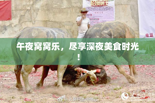 午夜窝窝乐，尽享深夜美食时光！