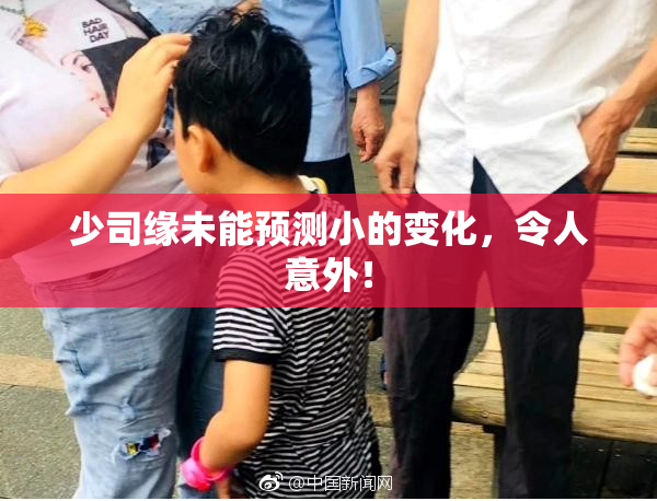 少司缘未能预测小的变化，令人意外！