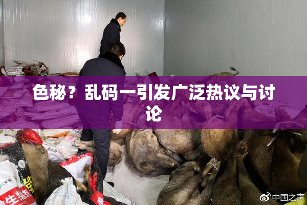 色秘？乱码一引发广泛热议与讨论