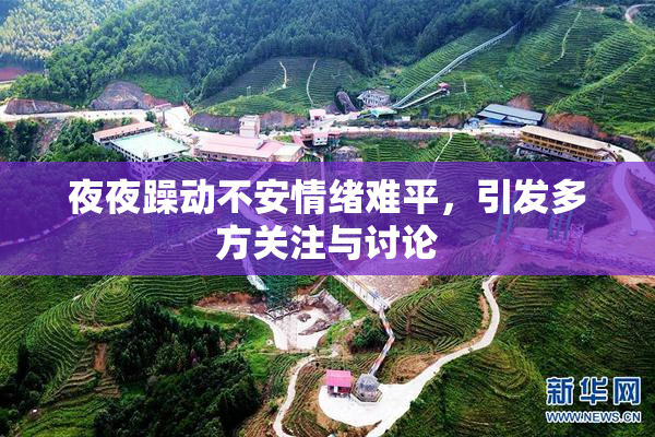 夜夜躁动不安情绪难平，引发多方关注与讨论