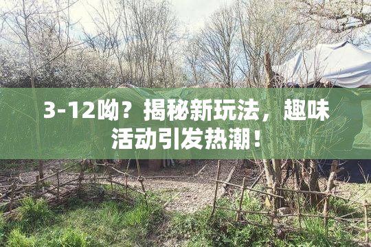 3-12呦？揭秘新玩法，趣味活动引发热潮！