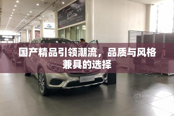 国产精品引领潮流，品质与风格兼具的选择