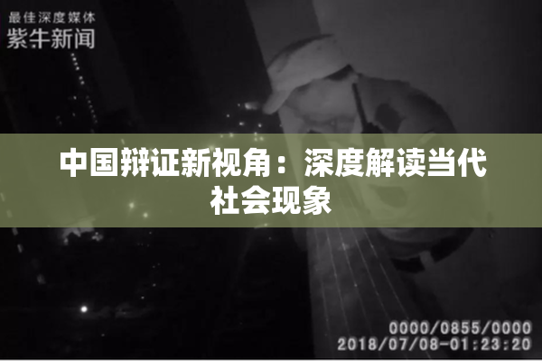 中国辩证新视角：深度解读当代社会现象