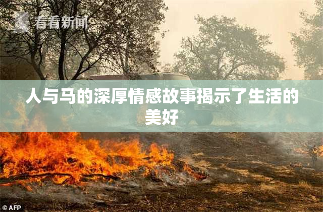 人与马的深厚情感故事揭示了生活的美好