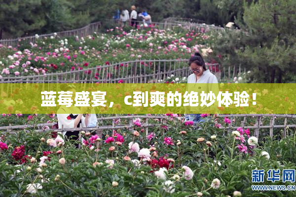 蓝莓盛宴，c到爽的绝妙体验！