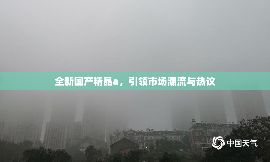 全新国产精品a，引领市场潮流与热议