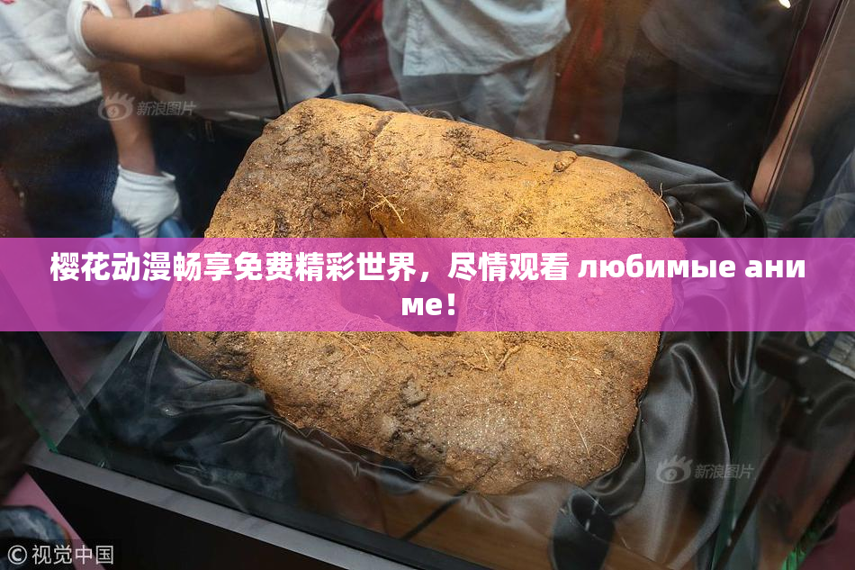 樱花动漫畅享免费精彩世界，尽情观看 любимые аниме！