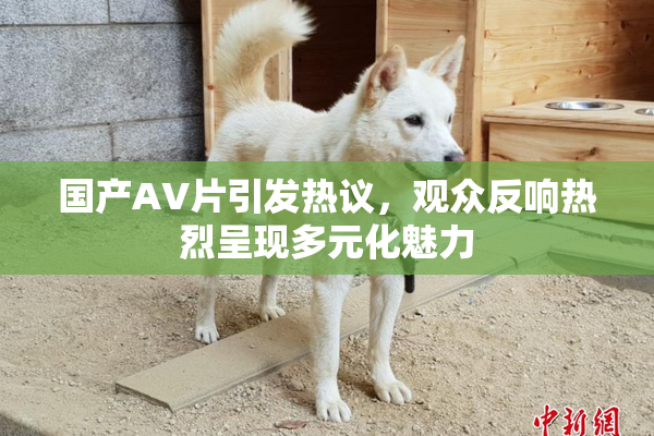 国产AV片引发热议，观众反响热烈呈现多元化魅力