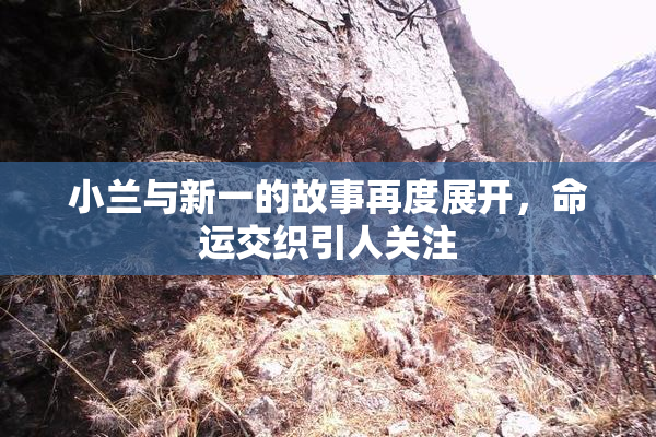 小兰与新一的故事再度展开，命运交织引人关注