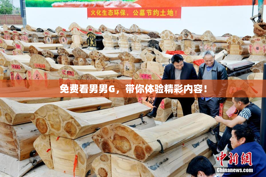 免费看男男G，带你体验精彩内容！