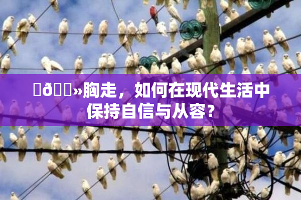 ‌🐻胸走，如何在现代生活中保持自信与从容？