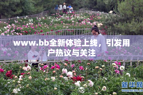 www.bb全新体验上线，引发用户热议与关注