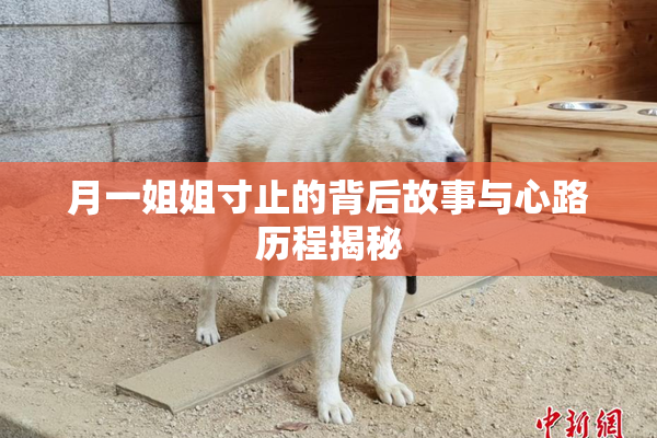 月一姐姐寸止的背后故事与心路历程揭秘