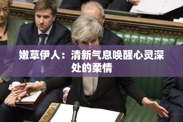 嫩草伊人：清新气息唤醒心灵深处的柔情