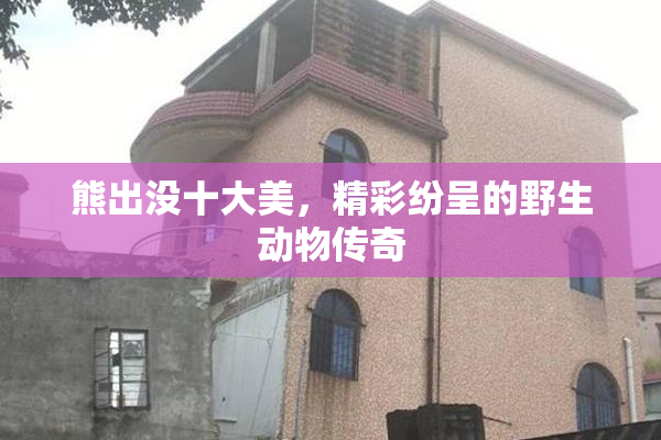熊出没十大美，精彩纷呈的野生动物传奇