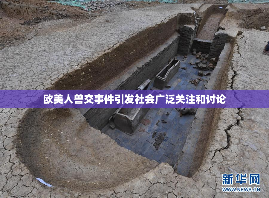 欧美人兽交事件引发社会广泛关注和讨论