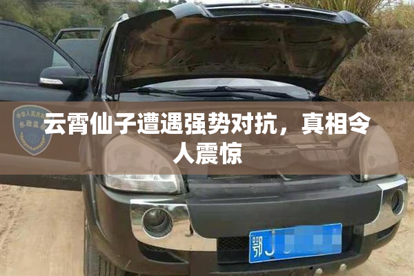 云霄仙子遭遇强势对抗，真相令人震惊