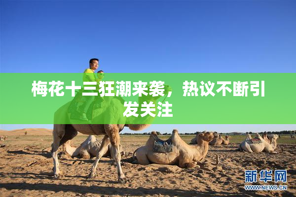 梅花十三狂潮来袭，热议不断引发关注