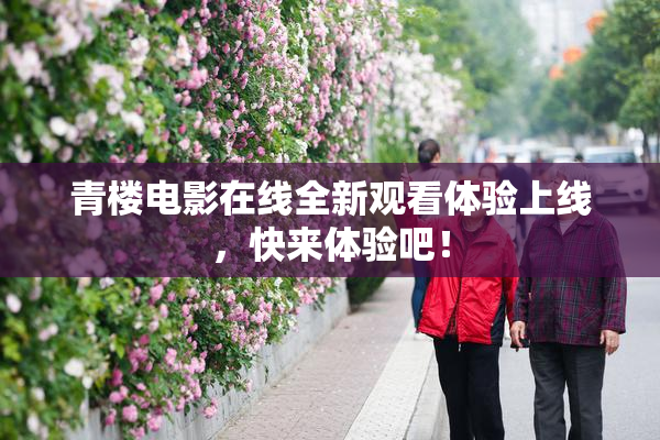 青楼电影在线全新观看体验上线，快来体验吧！