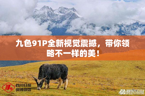 九色91P全新视觉震撼，带你领略不一样的美！