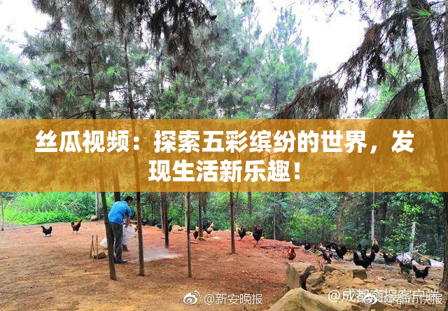 丝瓜视频：探索五彩缤纷的世界，发现生活新乐趣！