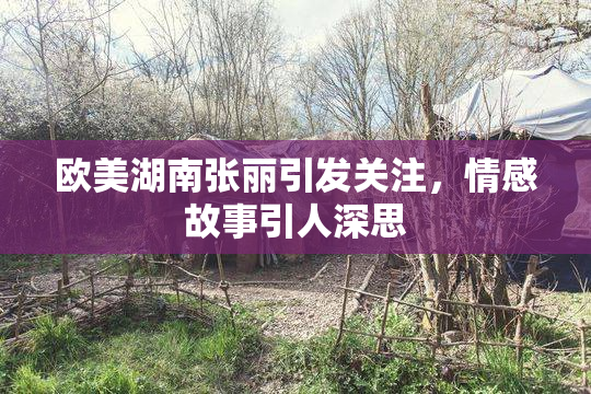 欧美湖南张丽引发关注，情感故事引人深思