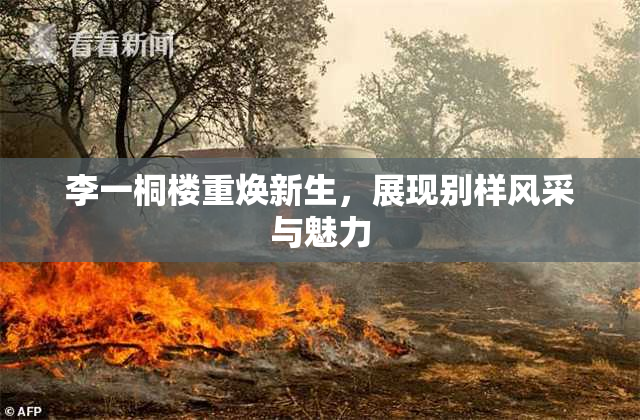 李一桐楼重焕新生，展现别样风采与魅力