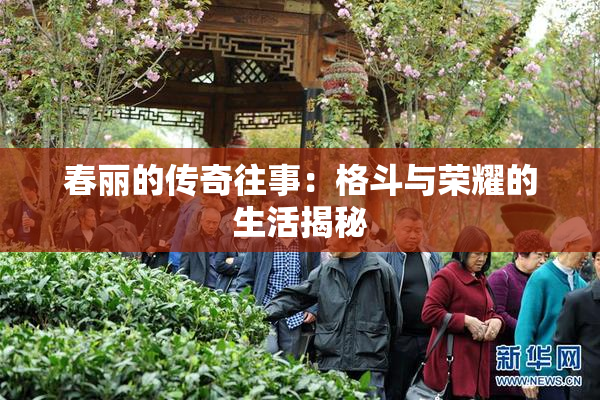 春丽的传奇往事：格斗与荣耀的生活揭秘