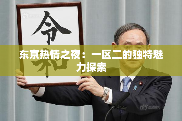 东京热情之夜：一区二的独特魅力探索