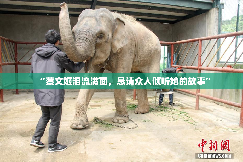 “蔡文姬泪流满面，恳请众人倾听她的故事”