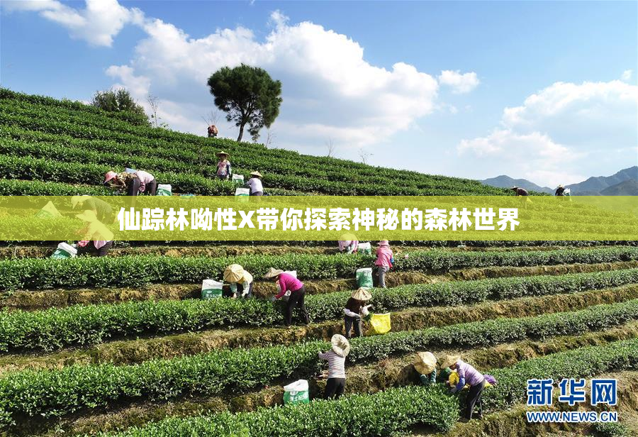 仙踪林呦性X带你探索神秘的森林世界