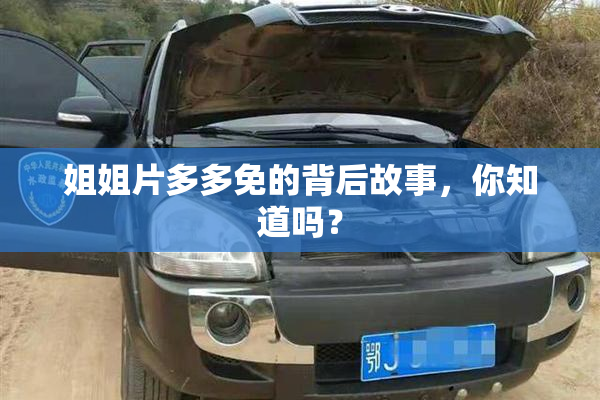 姐姐片多多免的背后故事，你知道吗？