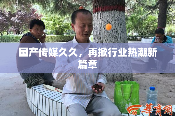国产传媒久久，再掀行业热潮新篇章