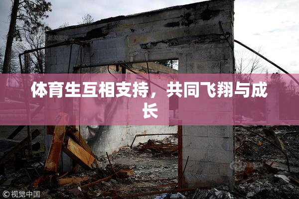 体育生互相支持，共同飞翔与成长