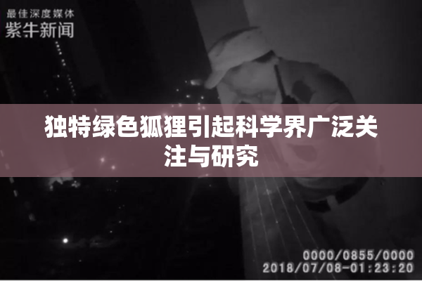 独特绿色狐狸引起科学界广泛关注与研究