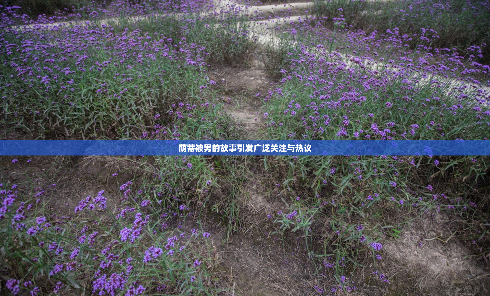 荫蒂被男的故事引发广泛关注与热议