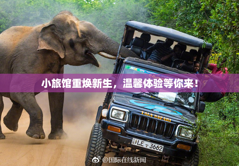 小旅馆重焕新生，温馨体验等你来！